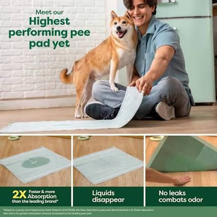 Earth Rated XL dog & puppy pee pads