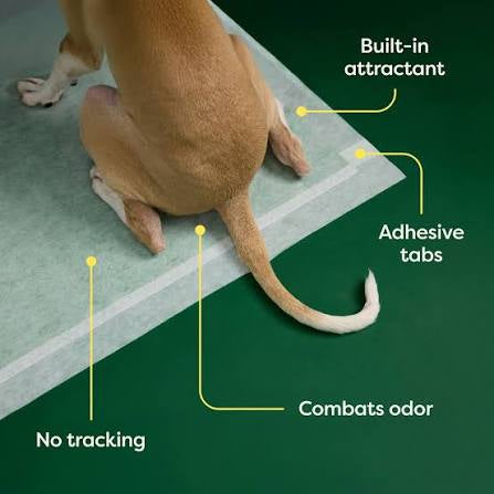 Earth Rated XL dog & puppy pee pads